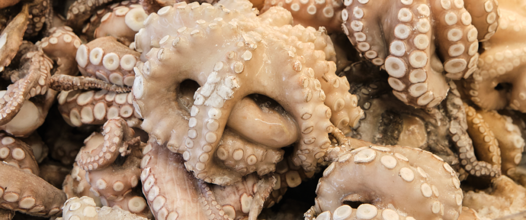 ricette con polpo
